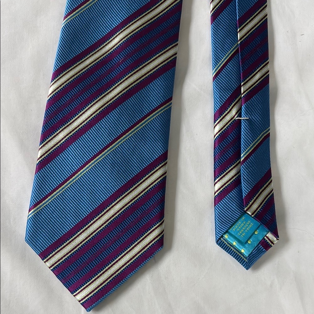 Peter Thomas Elegant Silk Striped Blue and Burgundy Tie